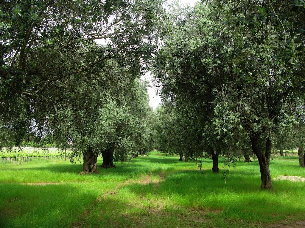 Masseria San Polo Squinzano Extérieur photo